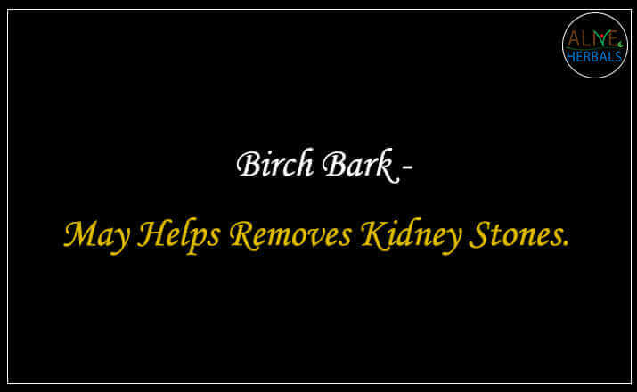 Birch Bark - Buy from the online herbal store
