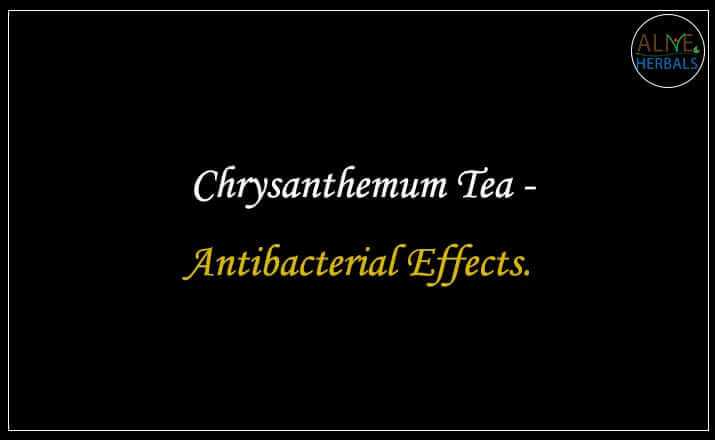 Chrysanthemum Tea - Buy at the tea store near me - Alive Herbals.