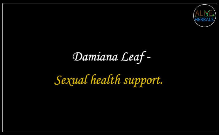 Damiana Leaf - Buy from the natural health food store