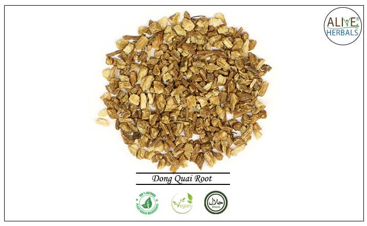Dong Quai Root - Buy from the health food store