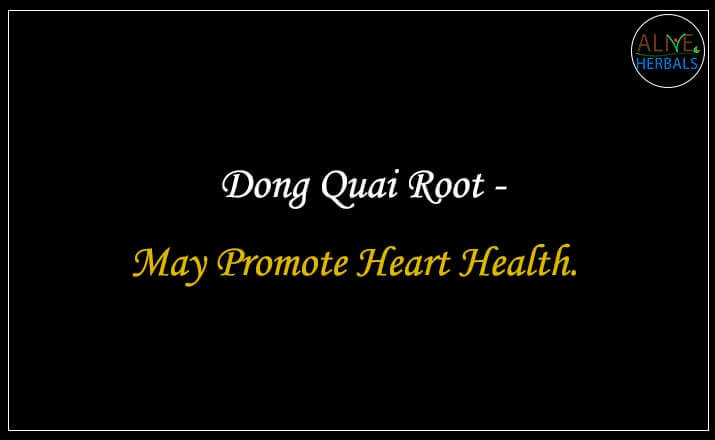 Dong Quai Root - Buy from the natural health food store