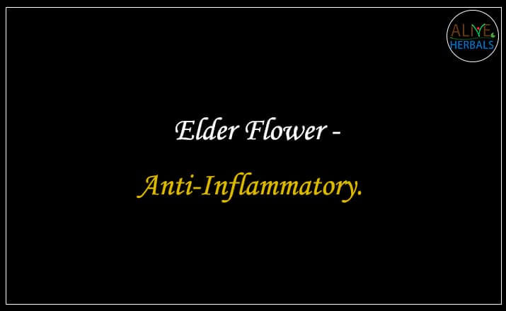 Elder Flower - Buy from the natural herb store