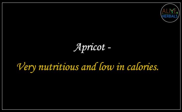 Apricot - Buy from the dried fruit shop