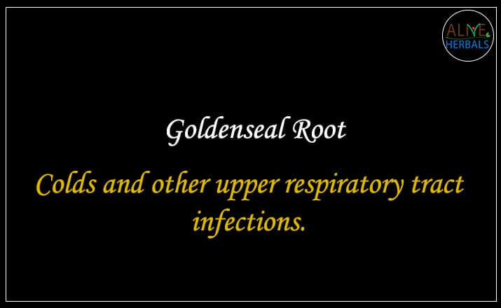 Goldenseal Root - Buy at the Natural Herbal Store at Brooklyn, NY, USA - Alive Herbals.