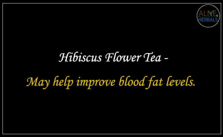Hibiscus Flower Tea - Buy from the Tea Store Near Me