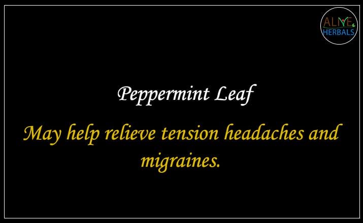 Peppermint Leaf - Buy from the online herbal store
