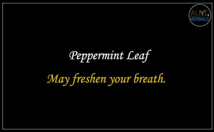 Peppermint Leaf - Buy from the natural health food store