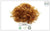 Sea Moss - Buy at the Online Herbs Store at Brooklyn, NY, USA - Alive Herbals.