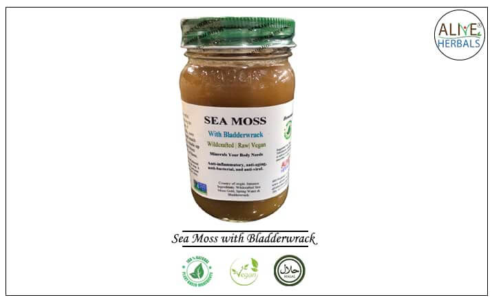 Sea Moss Gel - Buy from the online herbal store