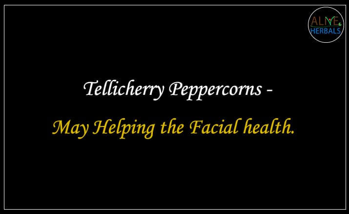 Tellicherry Peppercorns - Buy From the Spice Shop Brooklyn