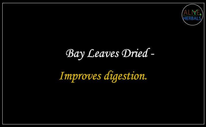 Bay Leaves Dried - Buy From the Spice Store Near Me