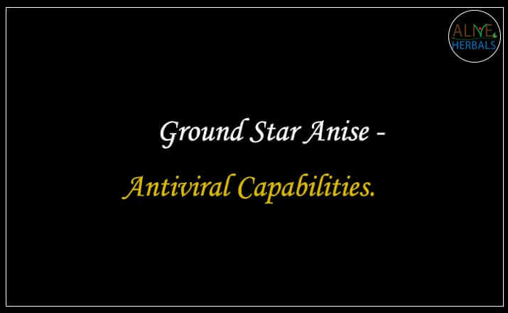 Ground Star Anise - Buy from the Online Spice Store - Alive Herbals, Brooklyn, New York, USA.