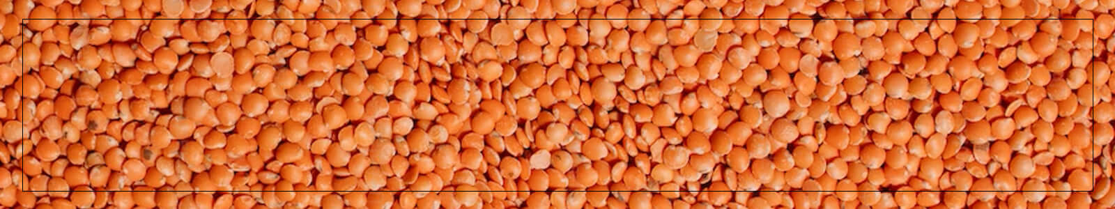 Red whole lentils - Buy from the natural foods store in the USA - Alive Herbals.