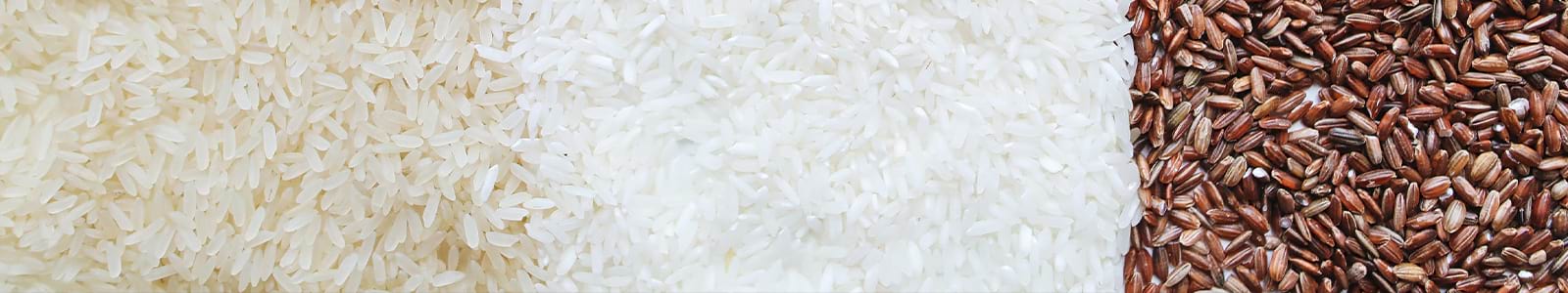 Rice store - buy rice online from the health food store in the USA - Alive Herbals