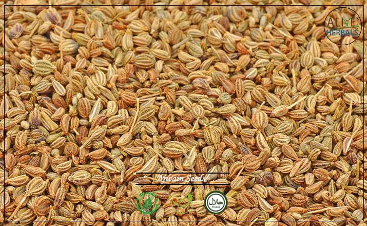 Ajwain Seeds - Buy at the Online Spice Store - Alive Herbals.