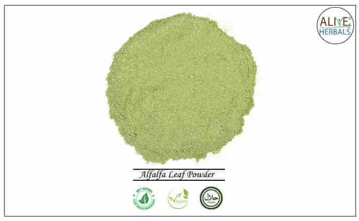Alfalfa Leaf Powder - Buy at the Online Herbs Store - Alive Herbals.