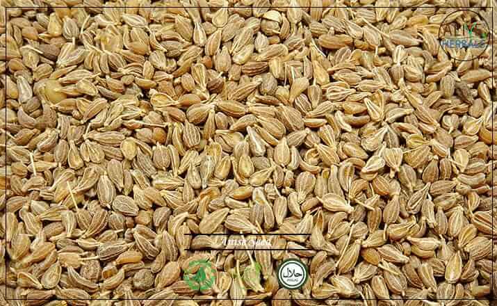Anise Seed - Buy at the Online Spice Store - Alive Herbals.