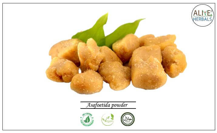 Asafoetida powder - Buy at the Online Spice Store - Alive Herbals.