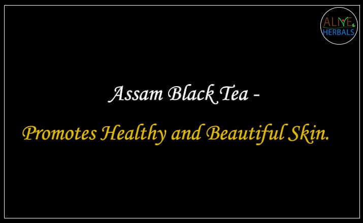 Assam Black Tea - Buy from the Tea store brooklyn.