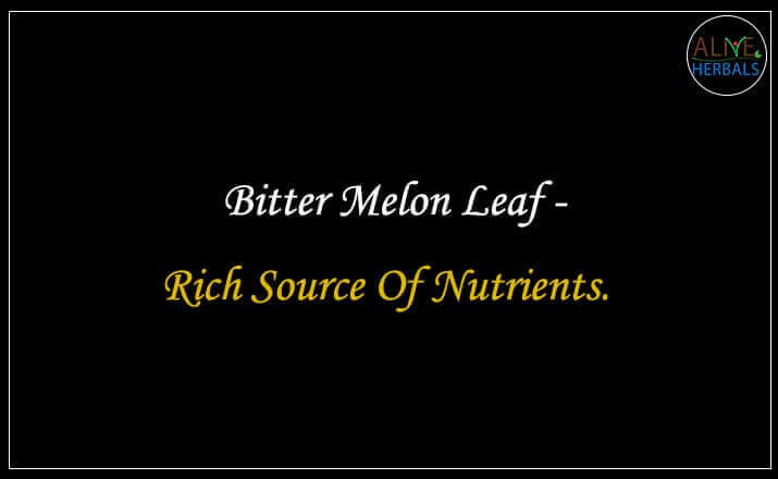 Bitter Melon Leaf - Buy from the online herbal store