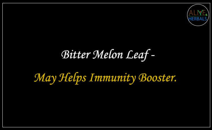 Bitter Melon Leaf - Buy from the natural health food store