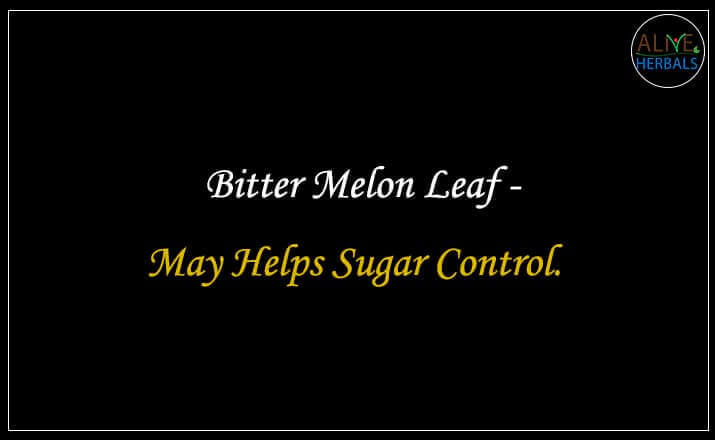 Bitter Melon Leaf - Buy from the natural herb store