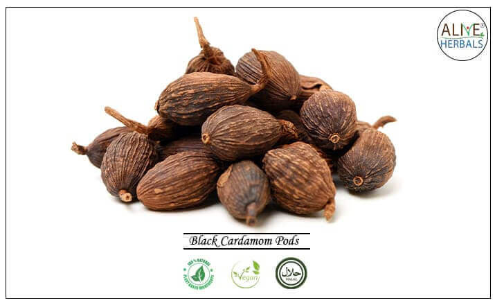 Black Cardamom Pods - Buy at the Online Spice Store - Alive Herbals.