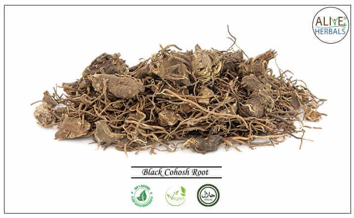 Black Cohosh Root - Buy at the Online Herbs Store at Brooklyn, NY, USA - Alive Herbals.