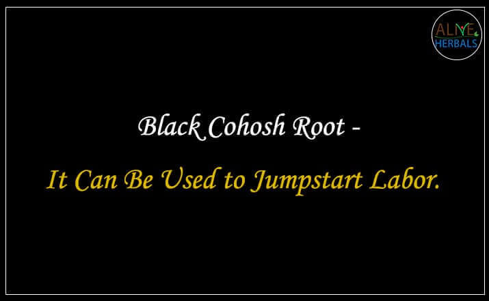 Black Cohosh Root - Buy from the natural health food store