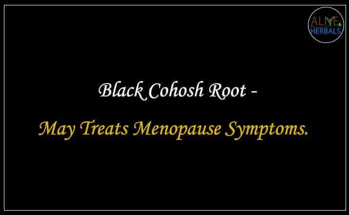 Black Cohosh Root - Buy from the natural herb store