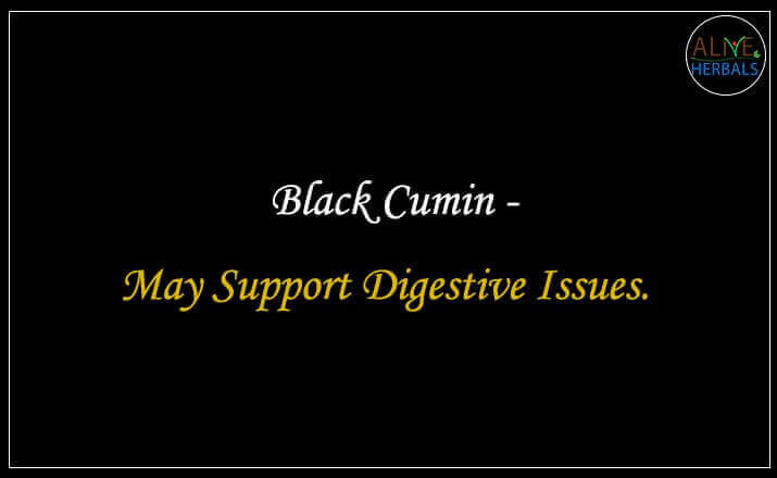 Black Cumin - Buy at the Spice Store Brooklyn - Alive Herbals.