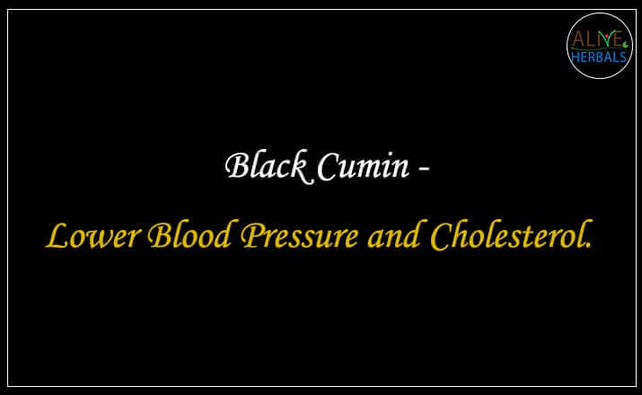 Black Cumin - Buy at the Best Spice Store NYC - Alive Herbals.