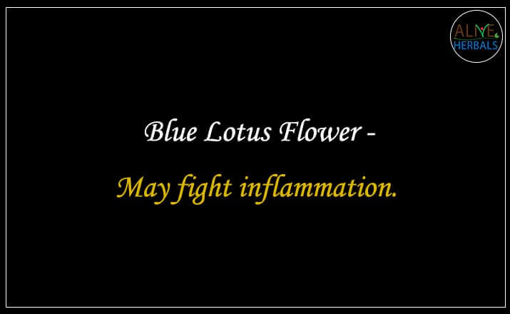 Blue lotus flower - Buy from the online herbal store