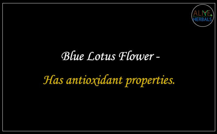 Blue lotus flower - Buy from the natural herb store