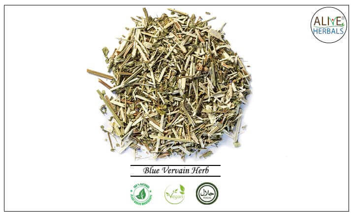 Blue Vervain Herb - Buy from the health food store