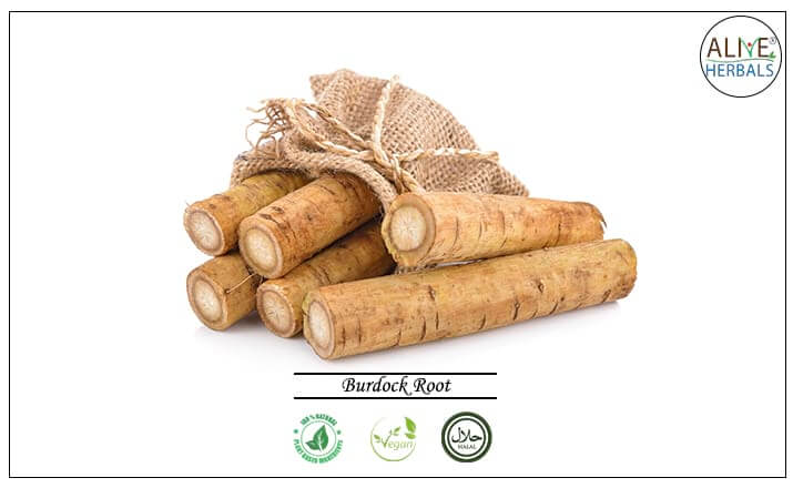 Burdock Root - Buy from the health food store