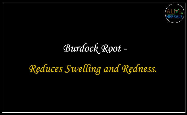 Burdock Root - Buy from the online herbal store
