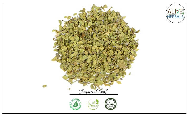 Chaparral Leaf - Buy from the health food store