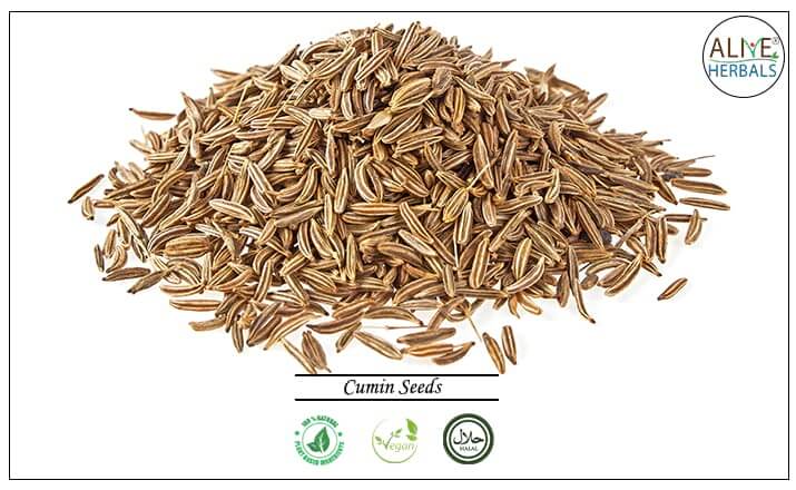 Cumin Seeds - Buy at the Online Spice Store - Alive Herbals.