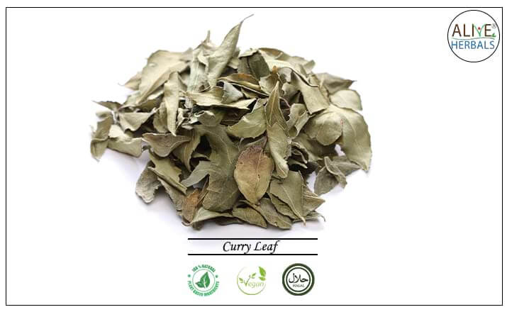 Curry Leaf - Buy at the Online Spice Store - Alive Herbals.
