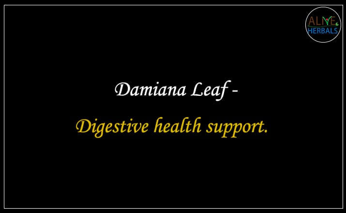Damiana Leaf - Buy from the online herbal store