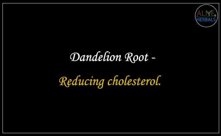 Dandelion Root - Buy from the online herbal store