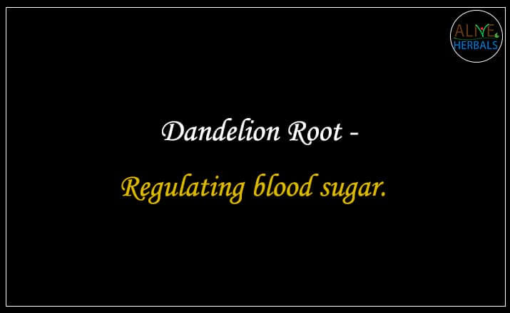 Dandelion Root - Buy from the natural health food store