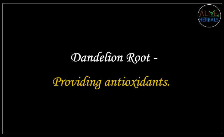 Dandelion Root - Buy from the natural herb store