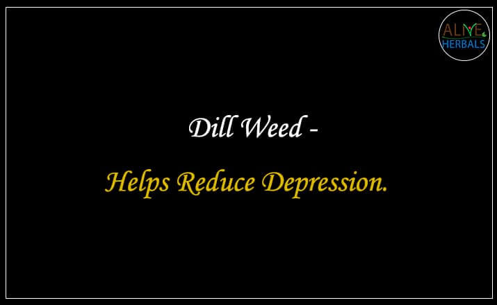 Dill Weed - Buy from the online herbal store