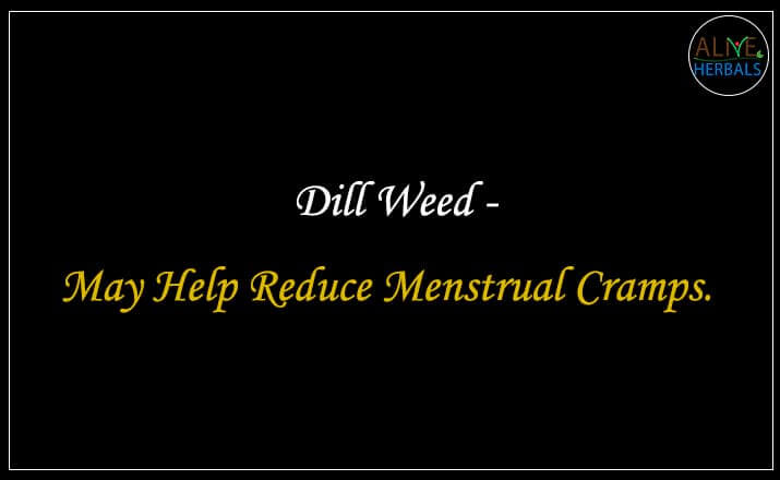 Dill Weed - Buy from the natural herb store