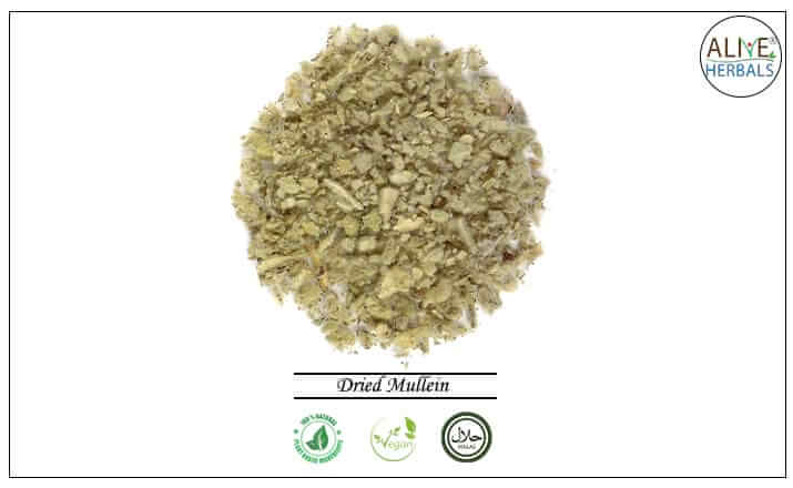 Dried Mullein - Buy from the health food store