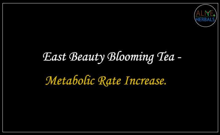 East Beauty Blooming Tea - Buy at the Best Tea Stores NYC - Alive Herbals.