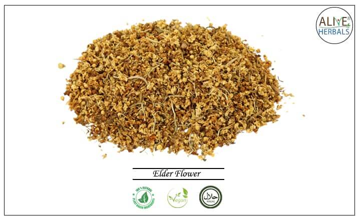 Elder Flower - Buy at the Online Herbs Store at Brooklyn, NY, USA - Alive Herbals.