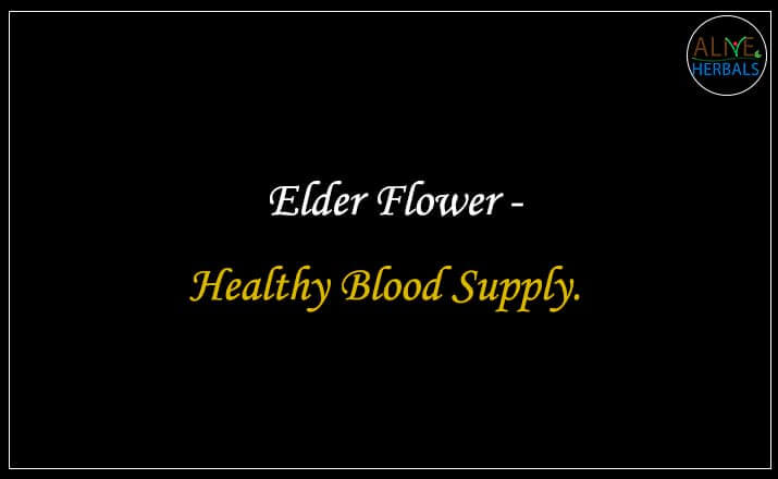 Elder Flower - Buy from the online herbal store